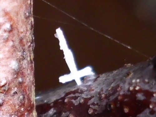 IMG_4793.jpg