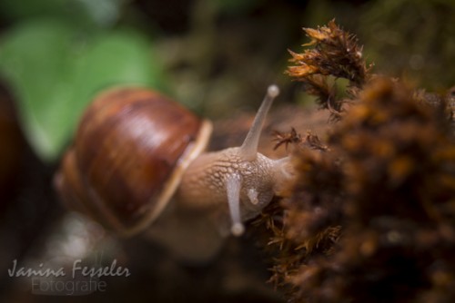 _MG_2224.jpg