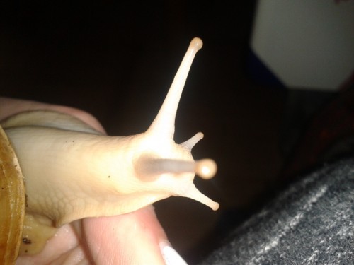 Viele Bilder die niemand braucht 2507.jpg (88.65 KiB) 2574-mal betrachtet Viele Bilder die niemand braucht 2507.jpg