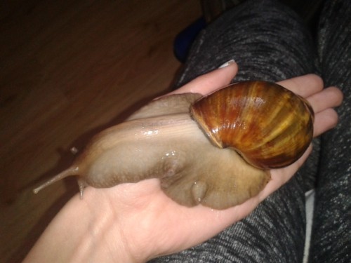 Viele Bilder die niemand braucht 2518.jpg (108.37 KiB) 2574-mal betrachtet Viele Bilder die niemand braucht 2518.jpg