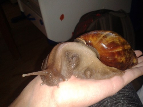 Viele Bilder die niemand braucht 2529.jpg (100.84 KiB) 2574-mal betrachtet Viele Bilder die niemand braucht 2529.jpg