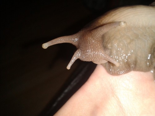 Viele Bilder die niemand braucht 2522.jpg (88.86 KiB) 2574-mal betrachtet Viele Bilder die niemand braucht 2522.jpg