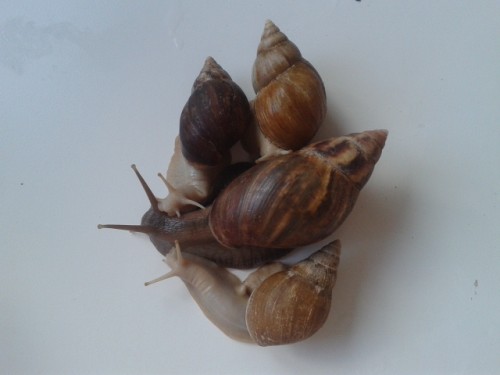 Viele Bilder die niemand braucht 2542.jpg (86.68 KiB) 2574-mal betrachtet Viele Bilder die niemand braucht 2542.jpg