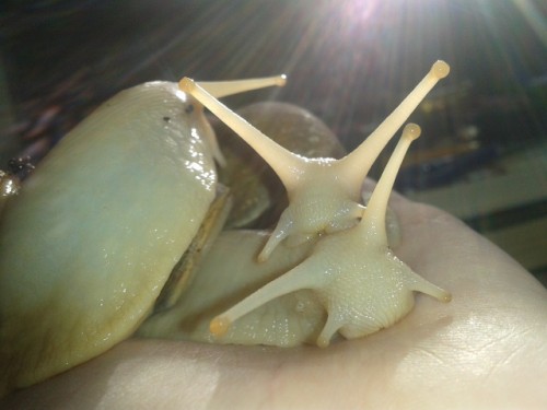 Viele Bilder die niemand braucht 2612.jpg (102.57 KiB) 2574-mal betrachtet Viele Bilder die niemand braucht 2612.jpg