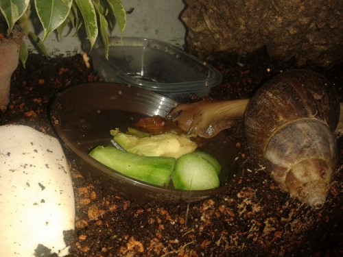 20150301_021557 Forum.jpg