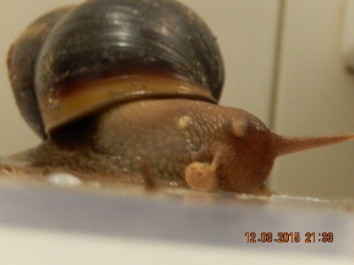 DSCN0251.JPG