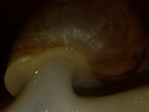 IMG_20150317_204759.jpg
