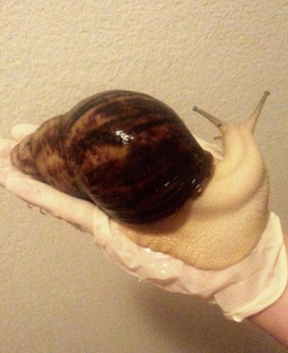 Download märz6.jpg