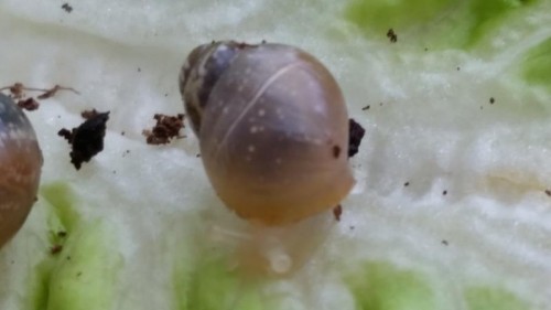 20150412_170341_800x450.jpg