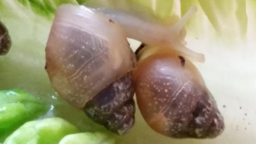 20150425_113120_800x450.jpg