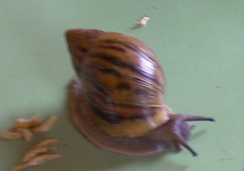 WIN_20150430_114503 (2).JPG