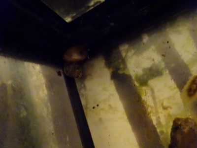Ufo (35).JPG