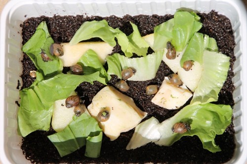 IMG_3298 - Kopie.JPG