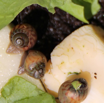 IMG_3302 - Kopie.JPG