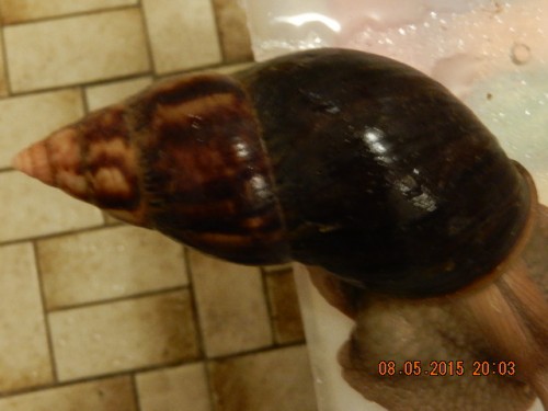 Naomi's Häuschen Foto wegen Details 'Verwitterung' - Mona Lisa's Häuschen sieht auch so aus (1).JPG