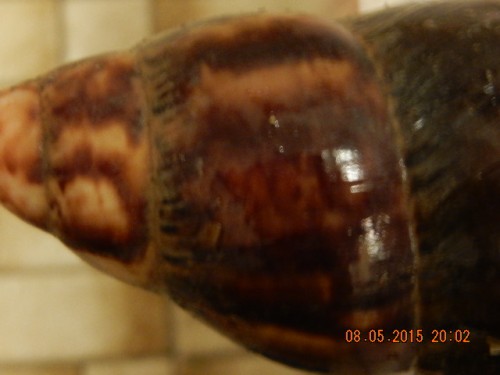 Naomi's Häuschen Foto wegen Details 'Verwitterung' - Mona Lisa's Häuschen sieht auch so aus (3).JPG