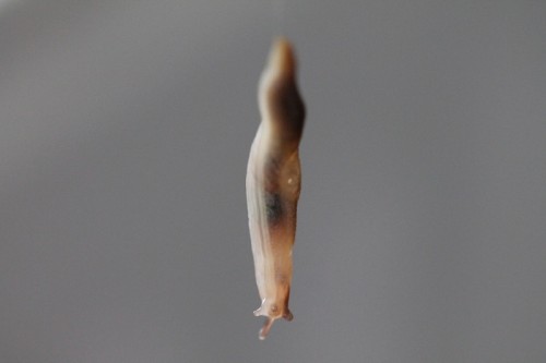 IMG_3640 - Kopie.JPG