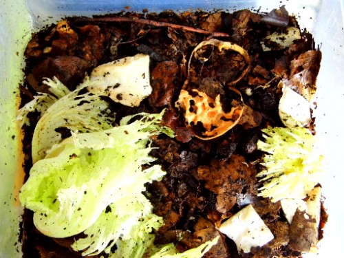 Die Ruhe vor dem Sturm.jpg