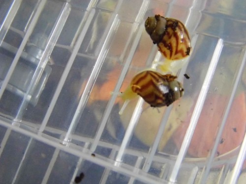 Sind wir nicht süß.jpg