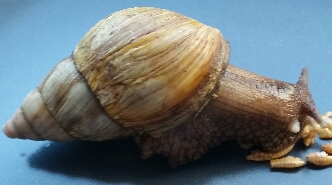 2015-06-09 21.11.22.jpg