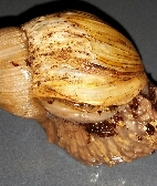 2015-06-09 21.58.24.jpg