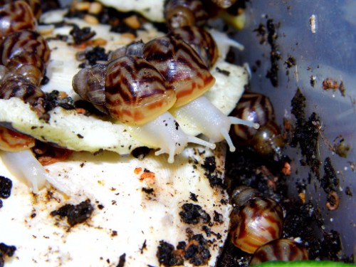 Komm wir trauen uns da runter.jpg