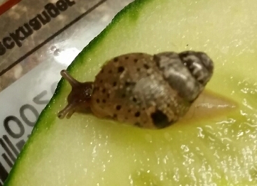 2015-06-22 11.41.35.jpg