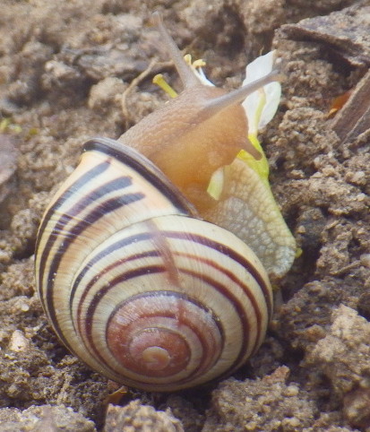 IMGP3058.JPG