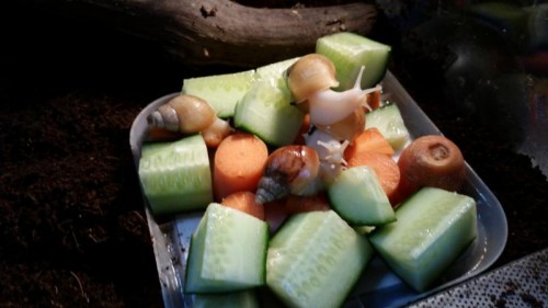 20150630_172516_800x450.jpg