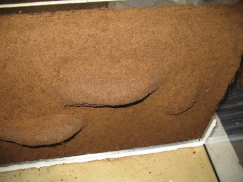 Rückwand Rohbau1.JPG