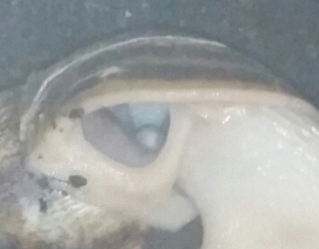 2015-07-25 07.15.46.jpg