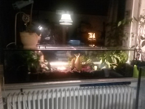 20150823_222614.jpg