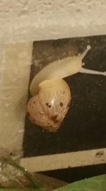 2015-09-01 19.42.37.jpg