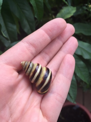 IMG_2417 (450x600).jpg