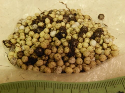 DSCN1730.JPG