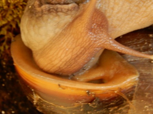 DSCN1068.JPG