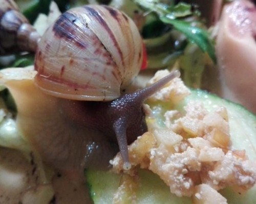 Riss im Gehäuse.JPG