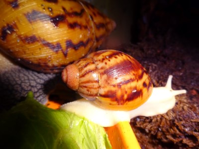 Kamera 06.10.2015 117.JPG
