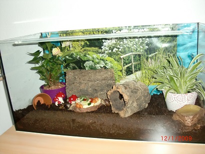 Bilder Nina 3 014.JPG