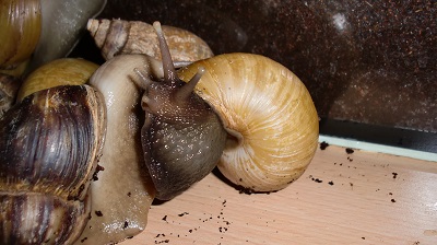 Bilder Nina 2 013.JPG