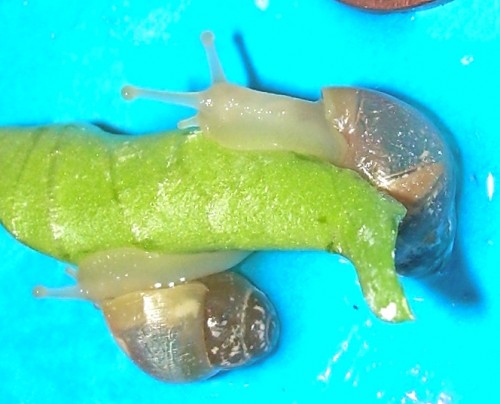 DSCN8190.JPG