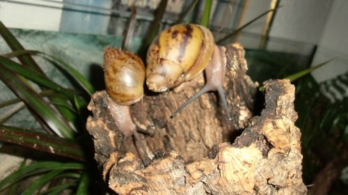 Tierbilder Oktober 183.JPG