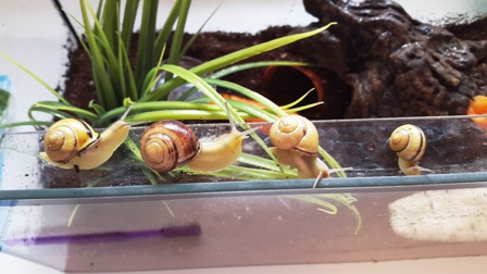 20150818_100934.jpg