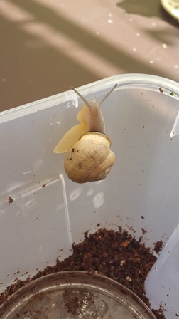 20150901_112316.jpg