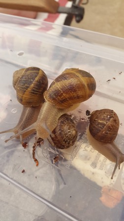 20150830_160548.jpg
