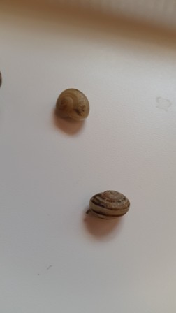 20151128_134129.jpg