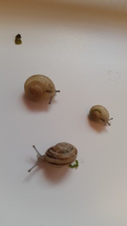 20151128_134245.jpg