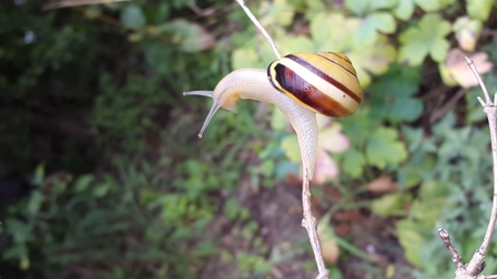 20150815_124225.jpg