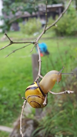 20150815_124219.jpg