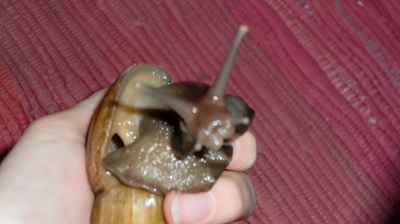 tierbilder Dezember 084.JPG